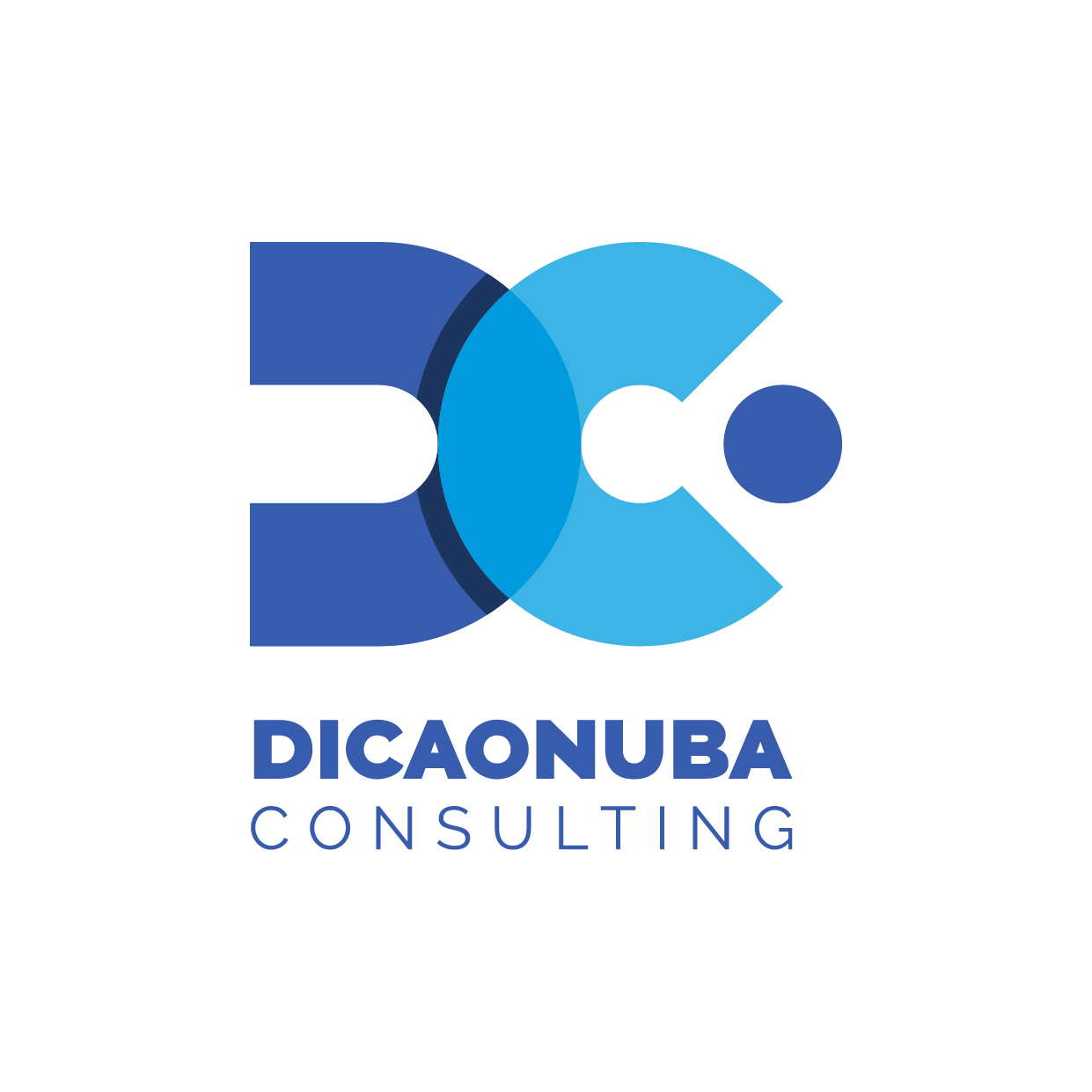 DICAONUBA CONSULTING SL